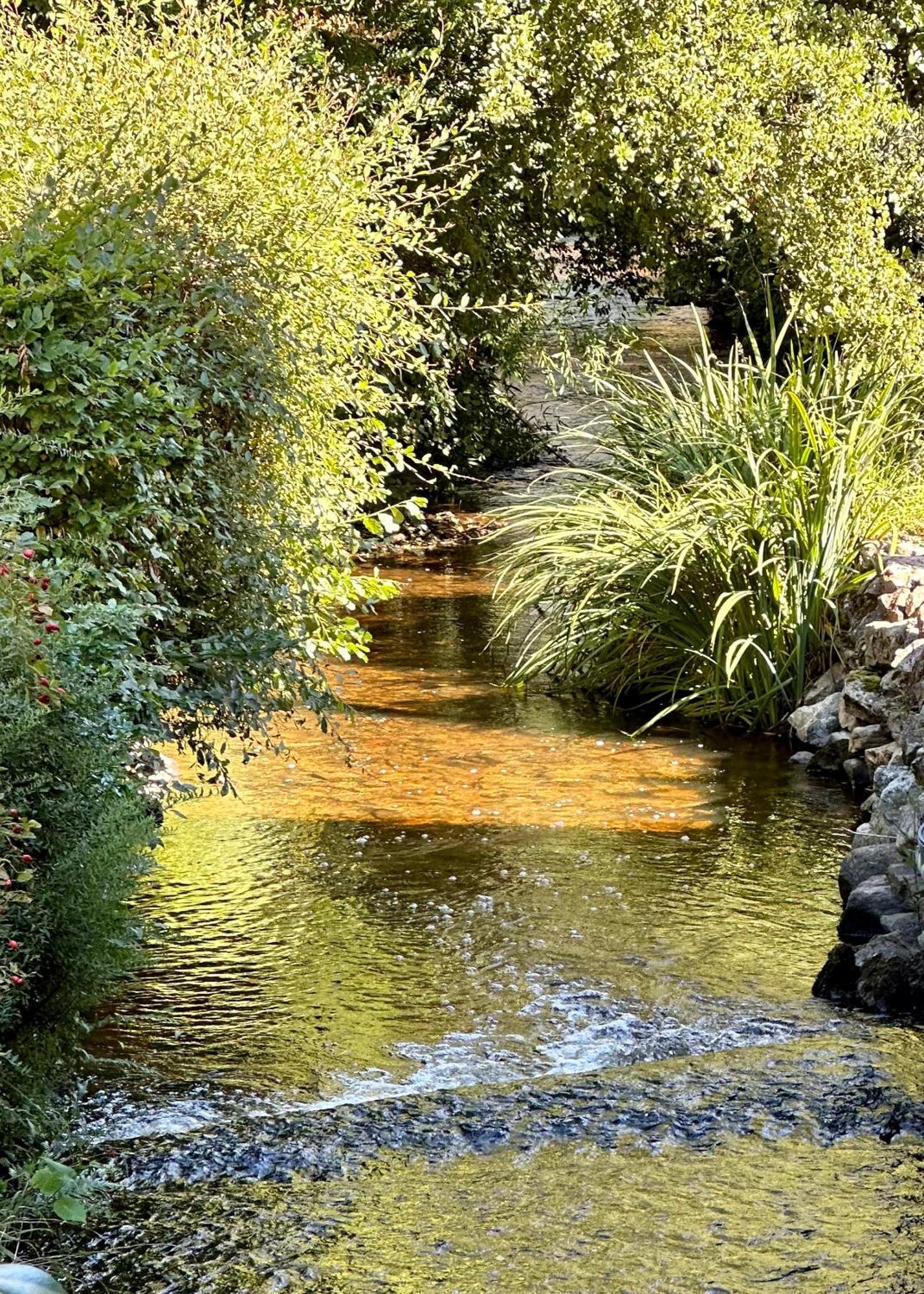 Gite Du Moulin Toucan Berneuil  Εξωτερικό φωτογραφία